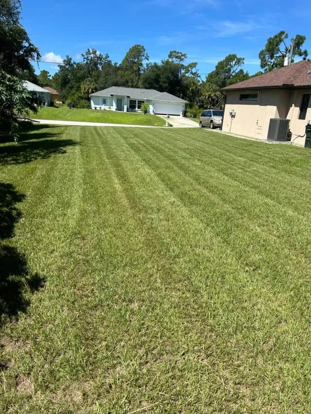 Freshly mowed lawn with crisp mower striping, Green Haven lawn maintenance